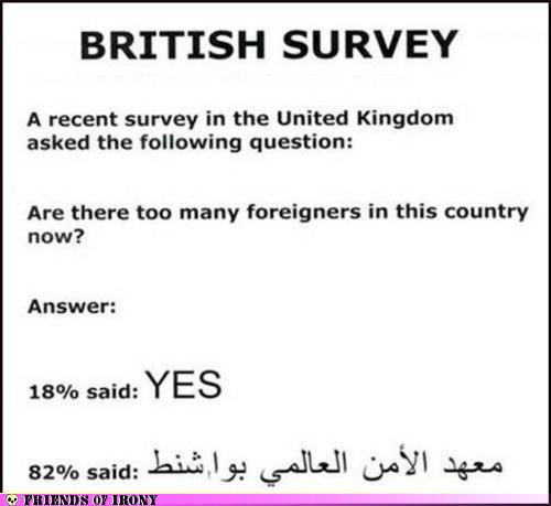 funny surveys. funny surveys
